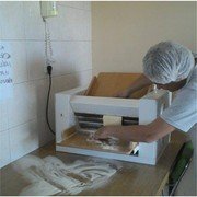 Subsidio Fábrica de pastas RYAN